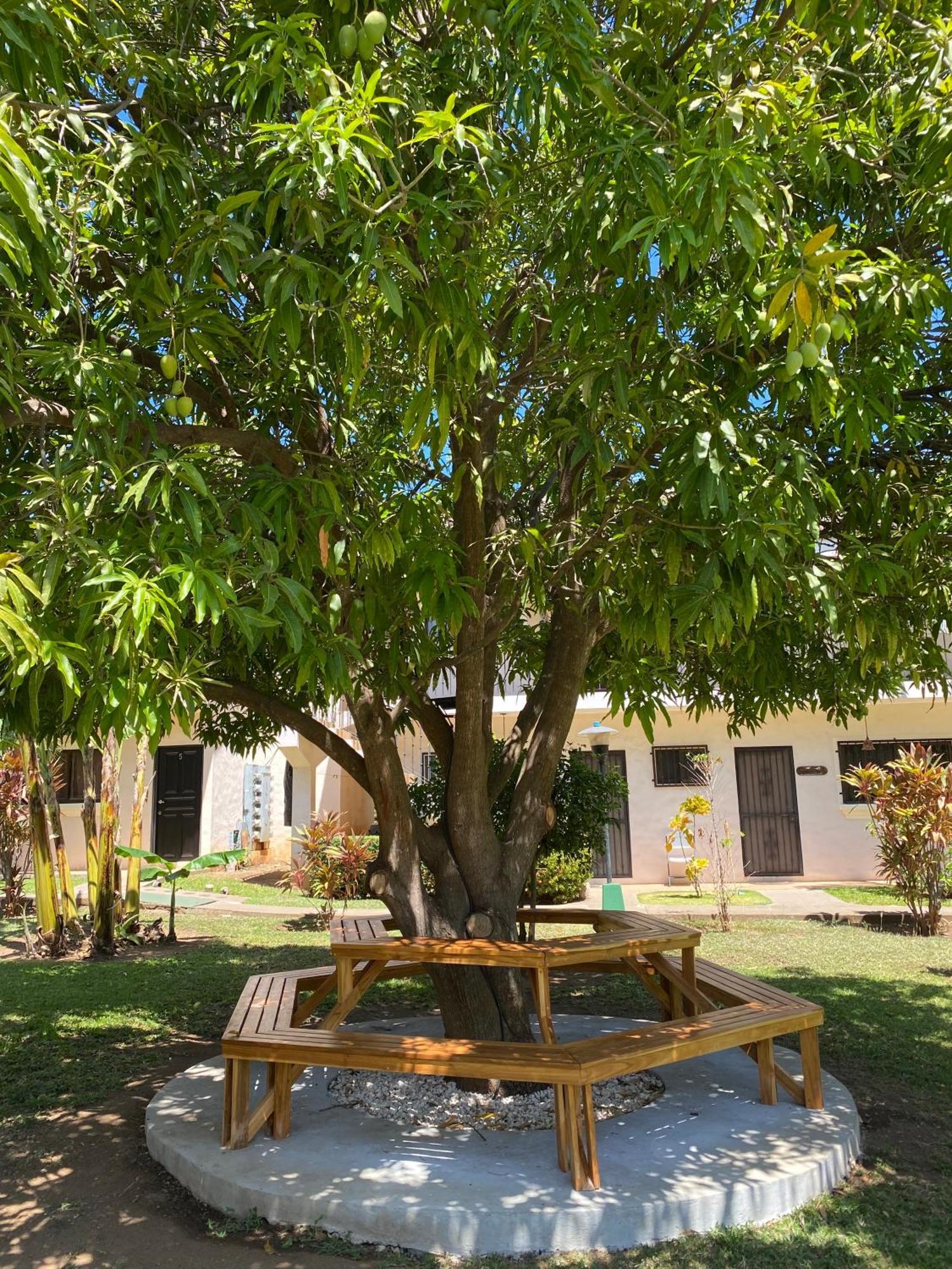 Tucan Studio Ocotal Coco Habitación foto